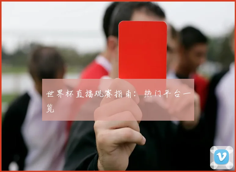 世界杯直播观赛指南:热门平台一览