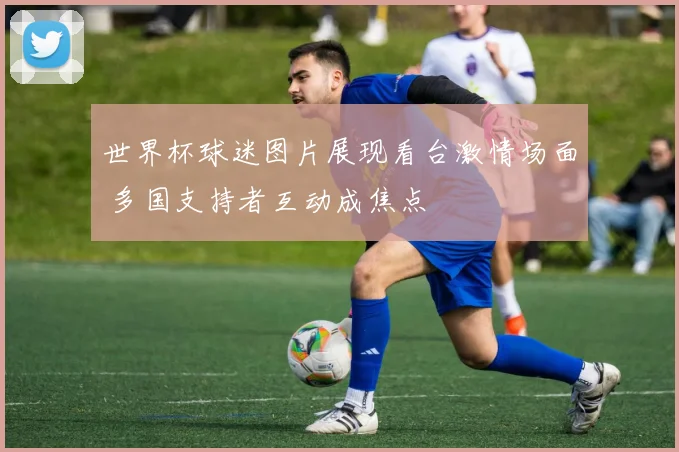 世界杯球迷图片展现看台激情场面 多国支持者互动成焦点